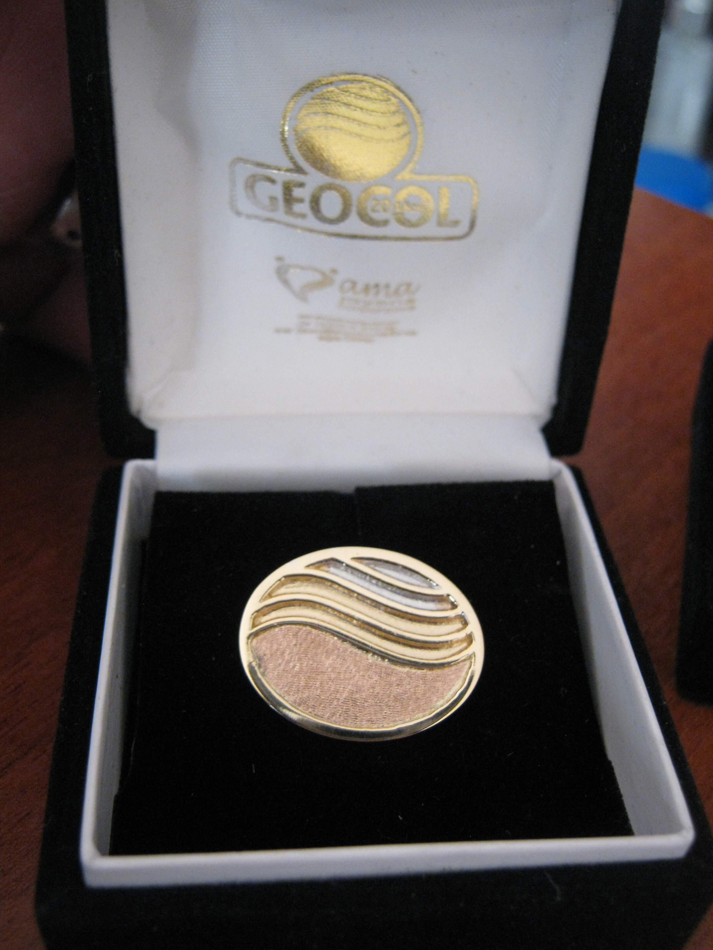 PIN DE SOLAPA EN ORO GEOCOL, AMA JOYERIA CORPORATIVA